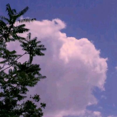  《英雄聯盟》河流之王蛤蟆塔姆該怎么玩？